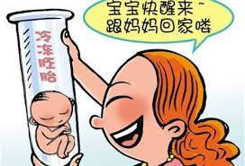 胚胎培养